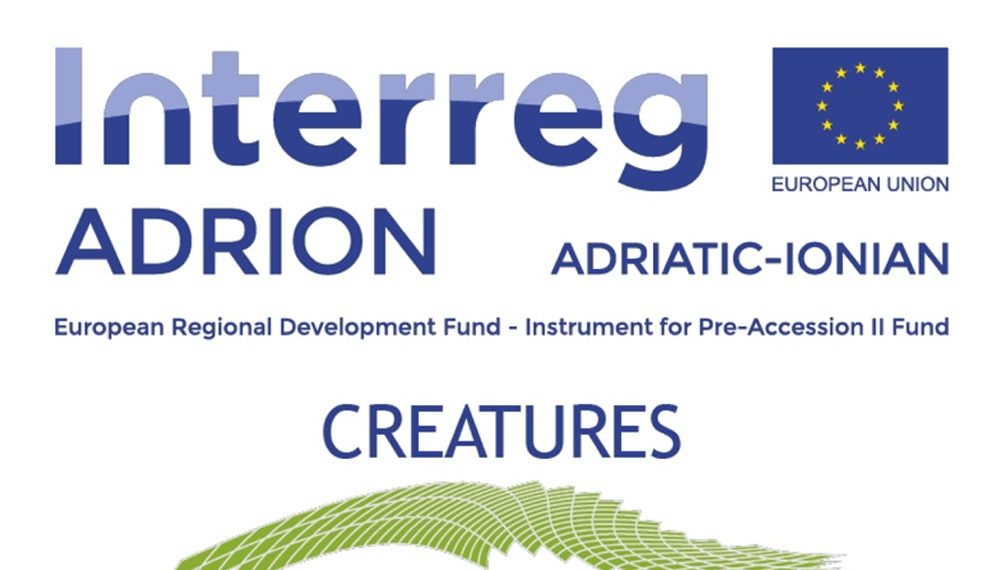 Javni poziv za učešće u akcelerator programu