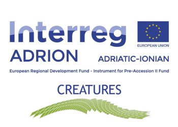 Javni poziv za učešće u akcelerator programu